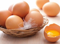 Telur Infertil Beredar di Jabar, DKPP: Efek Pandemi COVID-19