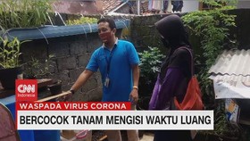VIDEO: Bercocok Tanam di Wilayah Sempit Perkotaan