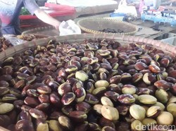 Harga Naik, Jengkol Lebih Mahal Dibanding Daging Ayam