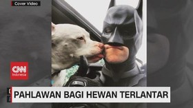 VIDEO: Pahlawan Bagi Hewan Terlantar
