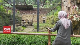 VIDEO: Wisata Bandung Merana Akibat Corona