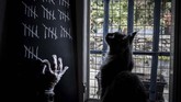 Nyalang Edisi 9 Mei 2020 A person, watched by his cat, notes with chalk the days spent in confinement in his home, on May 5, 2020 in Givors near Lyon, on the 50th day of a strict lockdown in France to stop the spread of COVID-19, caused by the novel coronavirus. (Photo by JEAN-PHILIPPE KSIAZEK / AFP)