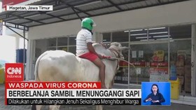 VIDEO: Atasi Kejenuhan Dengan Belanja Sambil Menunggangi Sapi