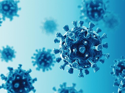 Mutasi Virus Corona B117 Masuk RI, Ini Risikonya Menurut Pakar Bun