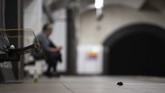 Nyalang Edisi 9 Mei 2020 A mouse sits on an empty tube platform on the Central Line as the UK continues in lockdown to help curb the spread of the coronavirus in London, Monday, May 4, 2020. (Aaron Chown/PA via AP)