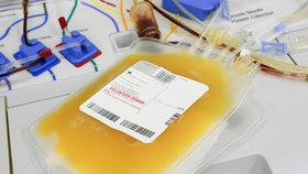Penasihat Sebut BPOM AS Ditekan Setujui Terapi Plasma Darah