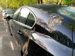 Warna Mobil Ini Paling Sering Jadi Sasaran Tembak Tahi Burung
