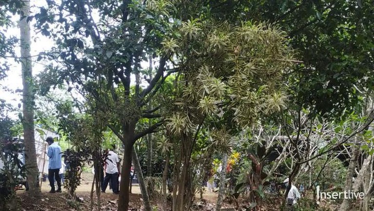 Adi Kurdi Adi Kurdi