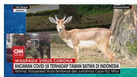 VIDEO: Ancaman Covid-19 Terhadap Taman Satwa di Indonesia