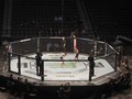UFC Siap Jadi 'Guru' Menggelar Pertandingan di Tengah Corona