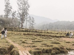 Ranca Upas yang Bikin Rindu