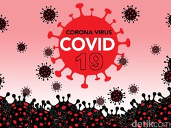 Gugus Tugas: 61 Kabupaten/Kota Belum Terinfeksi Corona, 43 Zona Hijau