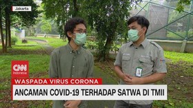 VIDEO: Ancaman Covid-19 Terhadap Satwa di TMII