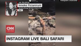VIDEO: Wisata Safari via Instagram