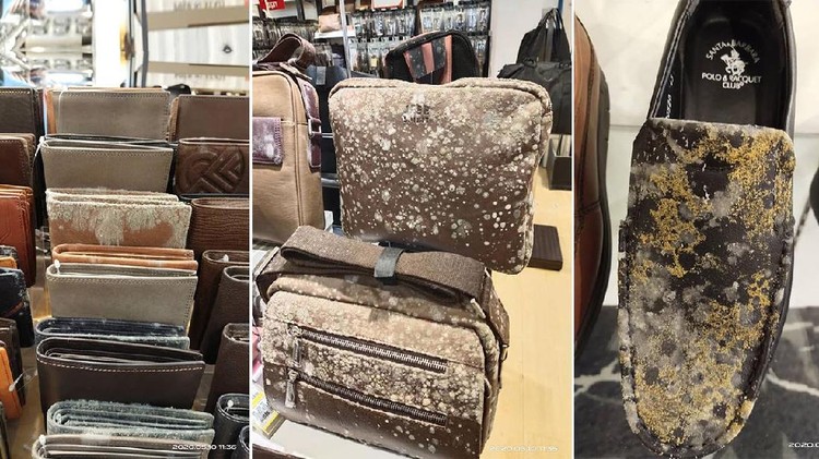 Viral Sepatu & Tas Berharga Rp2,3 Juta Berjamur Setelah Mall Tutup Dua Bulan