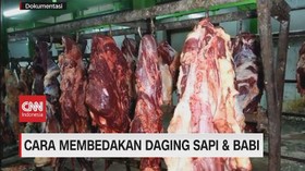 VIDEO: Cara Membedakan Daging Sapi & Babi
