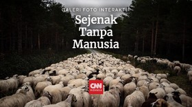 img-title Sejenak Tanpa Manusia