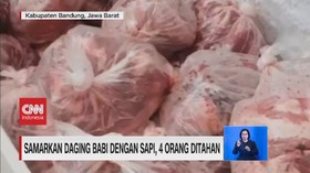 VIDEO: Samarkan Daging Babi dengan Sapi, 4 Orang Ditahan