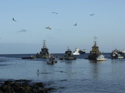Galapagos yang Tengah Berusaha Berdamai dengan Corona