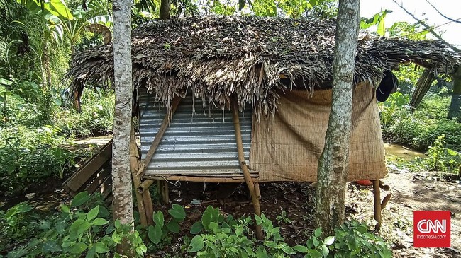 Nenek Rusmi, kelahiran tahun 1949. Hidup sebatang kara disebuah rumah miliknya yang sudah reyot dan nyaris ambruk di Desa Kamaruton, Kecamatan Kragilan, Kabupaten Serang, Banten.