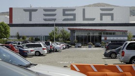 Anak Buah Luhut Klaim Kantongi Proposal Investasi Tesla