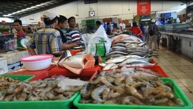 Jurus KKP Antisipasi Dampak Ekonomi Akibat Pandemi