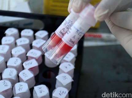 Update Corona di Indonesia: 275.213 Positif, 10.386 Meninggal & 203.014 Sembuh