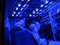 500 Mobil Pendeteksi Corona dari Basis Hiace dan Sprinter