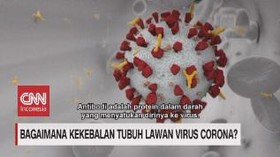 VIDEO: Cara Kekebalan Tubuh Lawan Virus Corona