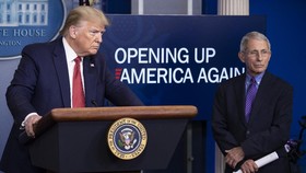 Trump Berencana Pecat Anthony Fauci jika Menang Pilpres AS