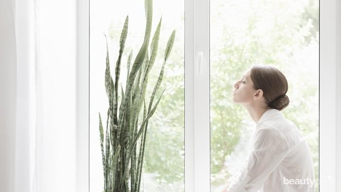 Selain Jadi Penghias Rumah, Tanaman Ini Mampu Usir Stres Lho!