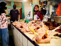Harga Sembako 11 November 2020: Giliran Jakarta Bawang dan Ayam Turun