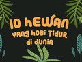 INFOGRAFIS: 10 Hewan yang Hobi Tidur di Dunia