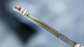 Cara Membaca Dipstick Oli Mobil