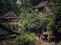 Pandemi Corona, Seba Baduy Tahun Ini Hanya Dihadiri Perwakilan