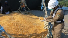 Sumbawa Lepas Ekspor 6,6 Ribu Ton Jagung ke Filipina