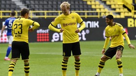 UFC dan Bundesliga Jadi Pelecut 'New Normal' di Olahraga
