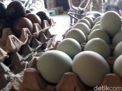 Telur Asin Jadi Warisan Budaya Takbenda, Cek di Sini Harganya