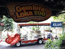 Apa Saja Koleksi Satwa di Kebun Binatang Gembira Loka Jogja? Ini Daftarnya