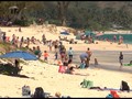VIDEO: Warga Hawaii Nikmati Matahari di Pantai