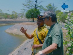 Pejuang Lingkungan Ubah Tempat Wisata Jadi Lahan Tumbuh Anggur Laut
