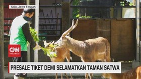 VIDEO: Presale Tiket Demi Selamatkan Taman Satwa