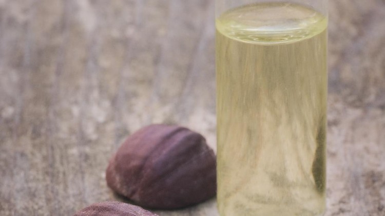 Minyak Jojoba