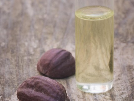 Minyak Jojoba Ternyata Punya 9 Manfaat Baik untuk Bayi