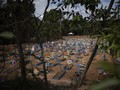 Jumlah Korban Meninggal Covid-19 di Brasil Lewati Italia