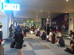 Menunggu Berjam-jam untuk Rapid Test, Pengalaman WNI Pulang ke Jakarta