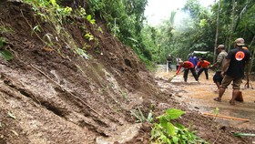 Padat Karya Tunai Serap 101 Ribu Pekerja di 5.916 Lokasi