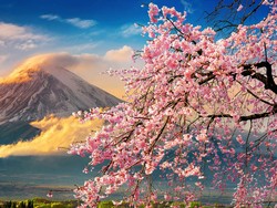 Paspor Jepang Jadi yang Terbaik Untuk Traveling