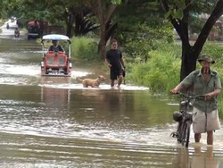 Sungai Meluap, Banjir Setinggi 50 Cm Landa Satu Desa di Polewali Mandar
