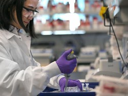 LBM Eijkman Kembangkan Protein Rekombinan untuk Bibit Vaksin Corona